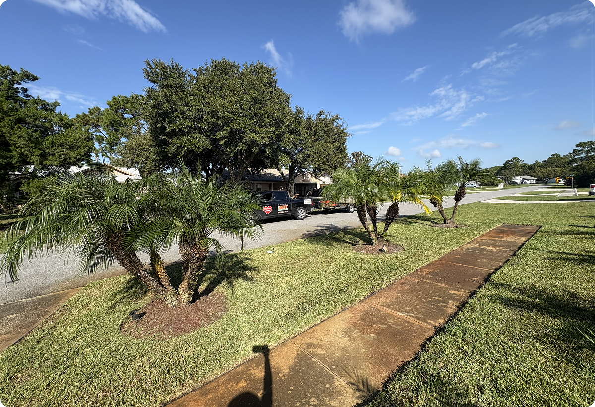 The Best Landscaping FL