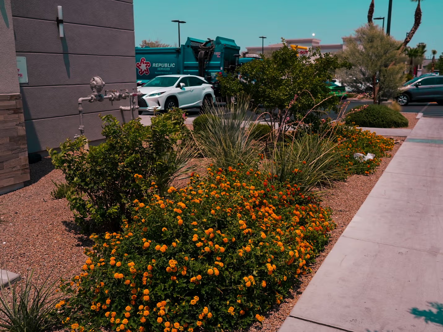 All American Landscape LV