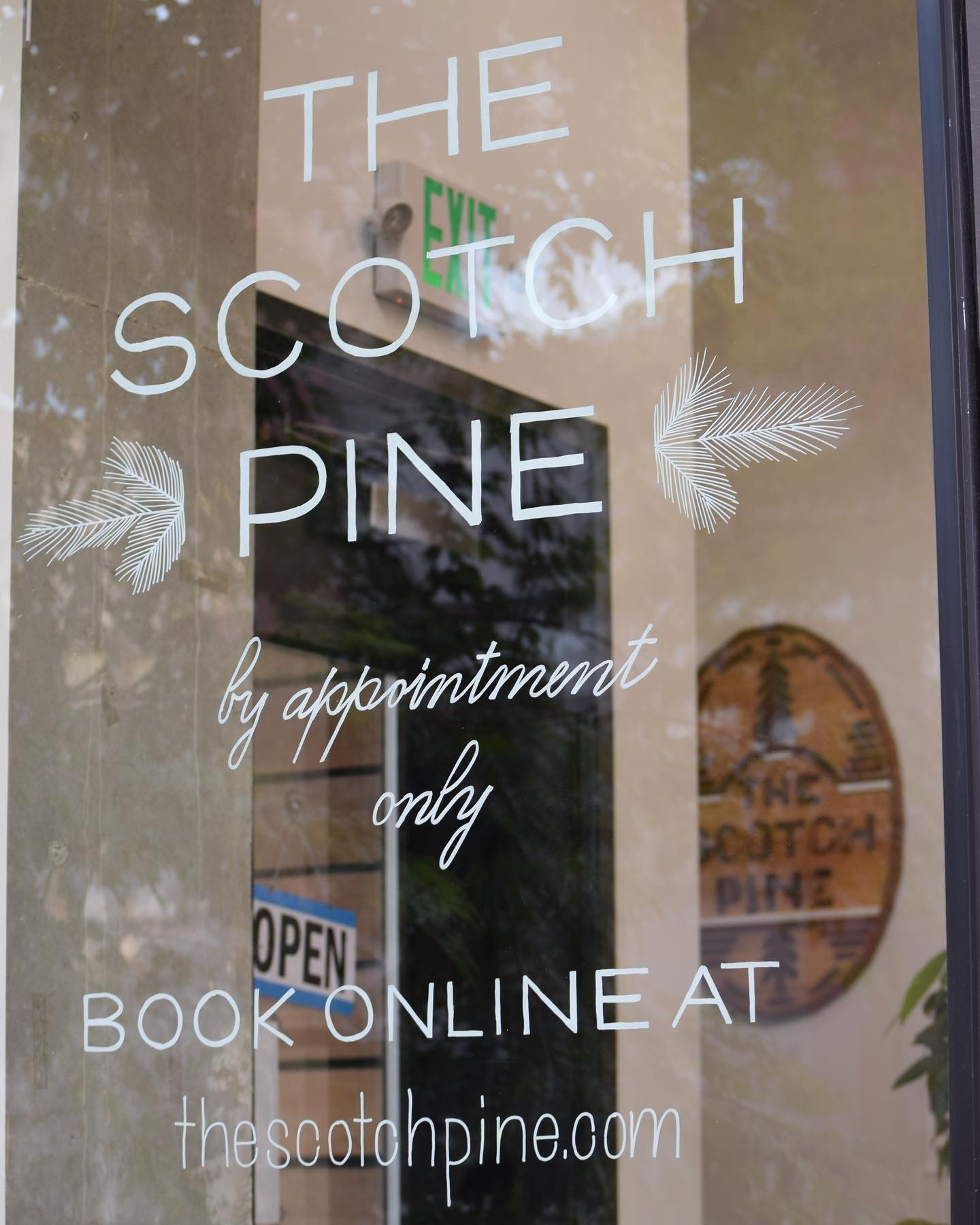 The Scotch Pine