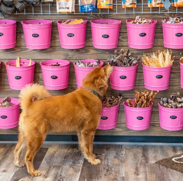 Woof Gang Bakery and Grooming Heights